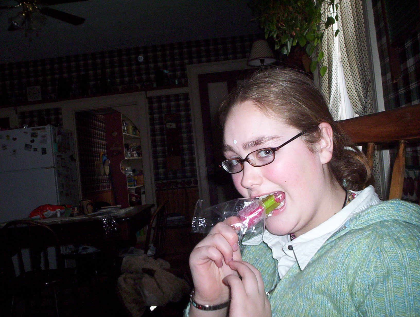 100_0131.jpg