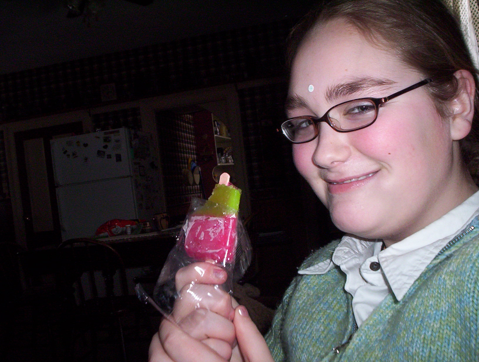 100_0133.jpg