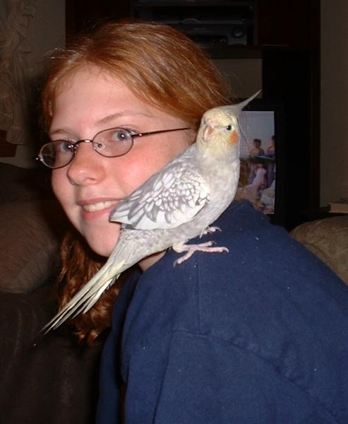 lauratilley.jpg